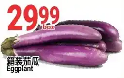 SunFood Supermarket Eggplant offer