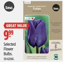 Canadian Tire Tasc selected flower bulbs offer