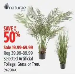 Canadian Tire Naturaе decor Selected Artificial Foliage, Grass or Tree. offer