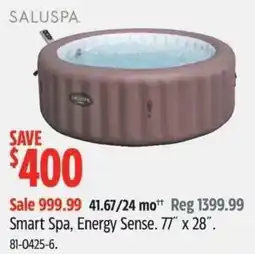 Canadian Tire Saluspa Smart Spa, Energy Sense offer