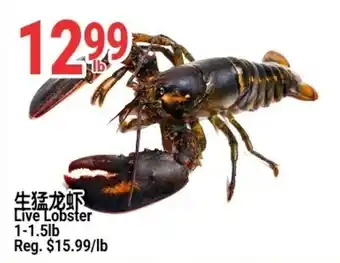 SunFood Supermarket Live Lobster offer