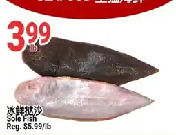 SunFood Supermarket Sole Fish offer