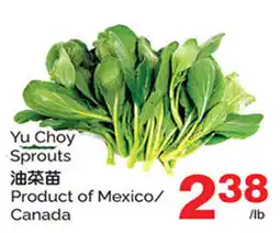 T&T Supermarket Yu Choy Sprouts offer