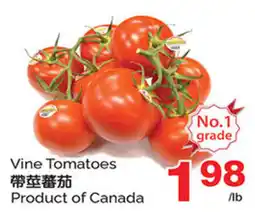 T&T Supermarket Vine Tomatoes offer