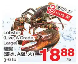 T&T Supermarket Lobster offer