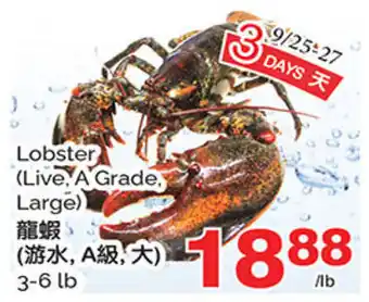 T&T Supermarket Lobster offer