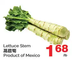 T&T Supermarket Lettuce Stem offer
