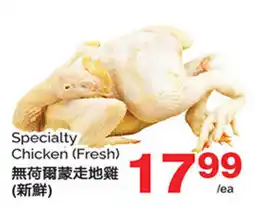 T&T Supermarket Specialty Chicken offer