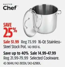 Canadian Tire Master Chef 16-Qt Stainless-Steel Stock Pot offer