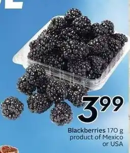 Sobeys Blackberries offer