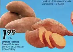 Sobeys Orange-Fleshed Sweet Potatoes offer