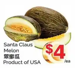T&T Supermarket Santa Claus Melon offer