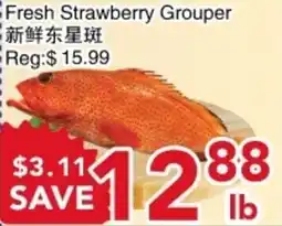 Yours Food Mart Fresh Strawberry Grouper offer