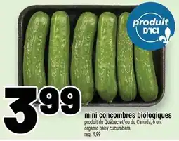 Metro mini concombres biologiques offer