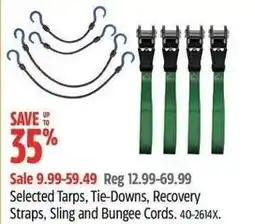 Canadian Tire Selected Tarps, Tie-Downs, Recovery Straps, Sling and Bungee Cords offer
