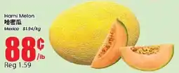Btrust Supermarket Hami Melon offer