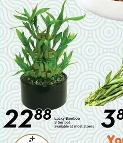 Sobeys Lucky Bamboo 3 tier pot offer