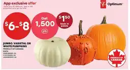 Independent Grocer JUMBO VARIETAL OR WHITE PUMPKINS, EACH offer