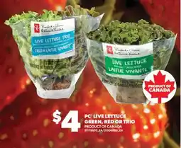Real Canadian Superstore PC LIVE LETTUCE GREEN, RED OR TRIO offer