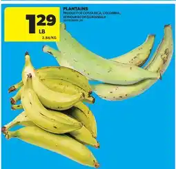 Real Canadian Superstore PLANTAINS offer