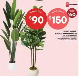 Real Canadian Superstore LIFE AT HOME 6' FAUX POPLAR LEAF offer