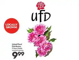 Longo's United Floral Distributors 5 Stem Dahlia offer