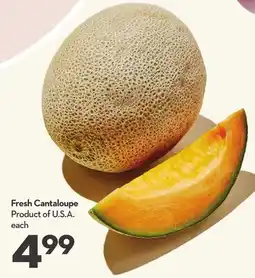 Longo's Fresh Cantaloupe offer