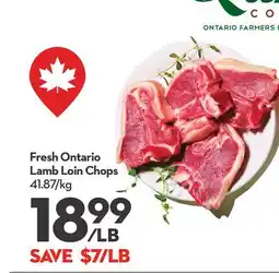 Longo's Fresh Ontario Lamb Loin Chops offer