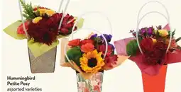 Longo's Hummingbird Petite Posy offer