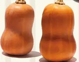 Longo's Fresh Organic Honeynut Squash offer