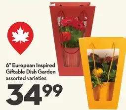 Longo's 6 European Inspired Giftable Dish Garden offer