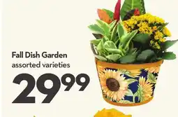 Longo's Fall Dish Garden offer