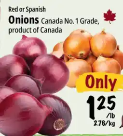 Farm Boy Red or Spanish Onions offer