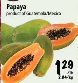 Farm Boy Papaya offer