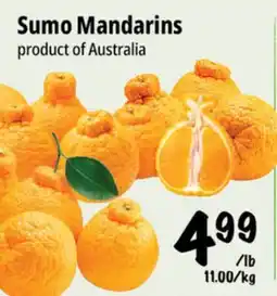 Farm Boy Sumo Mandarins offer