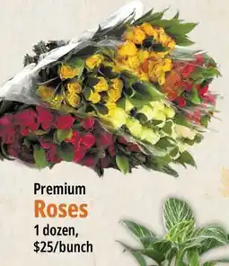 Farm Boy Premium Roses offer