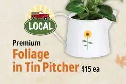 Farm Boy Premium Foliage in Tin Pitcher offer