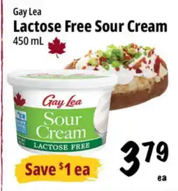 Farm Boy Gay Lea Lactose Free Sour Cream offer