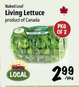 Farm Boy Naked Leaf Living Lettuce offer