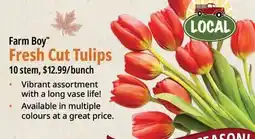 Farm Boy Farm Boy Fresh Cut Tulips offer