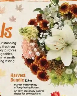Farm Boy Harvest Bundle offer