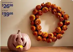 Walmart Terracotta pumpkin offer