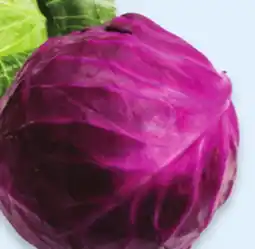Walmart Red cabbage offer