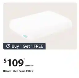 Sleep Country Bloom Chill Foam Pillow offer