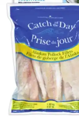 Food Basics HIGH LINER PAN SEAR OR SIGNATURE CUTS OR CATCH OF THE DAY FISH FILLETS offer