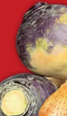 Food Basics CARROTS, ONIONS OR RUTABAGAS offer