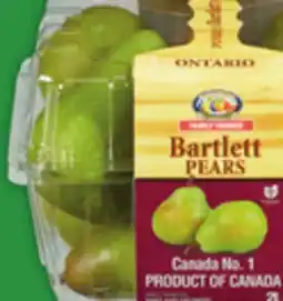 Food Basics BARTLETT OR BOSC PEAR offer