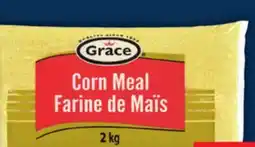 Food Basics PAN OR GRACE CORN MEAL offer