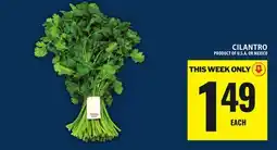 Food Basics CILANTRO offer