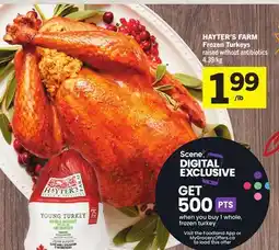 Foodland Frozen Turkeys - Foodland Harvest offer